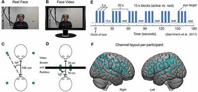 Real-Time Eye-to-Eye Contact Is Associated With Cross-Brain Neural Coupling in Angular Gyrus